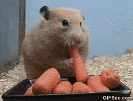 200.gif
