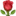 1f339.webp