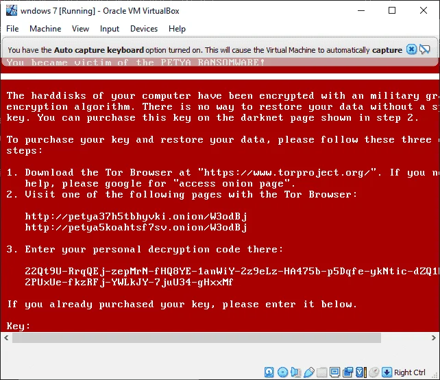 Capture.webp