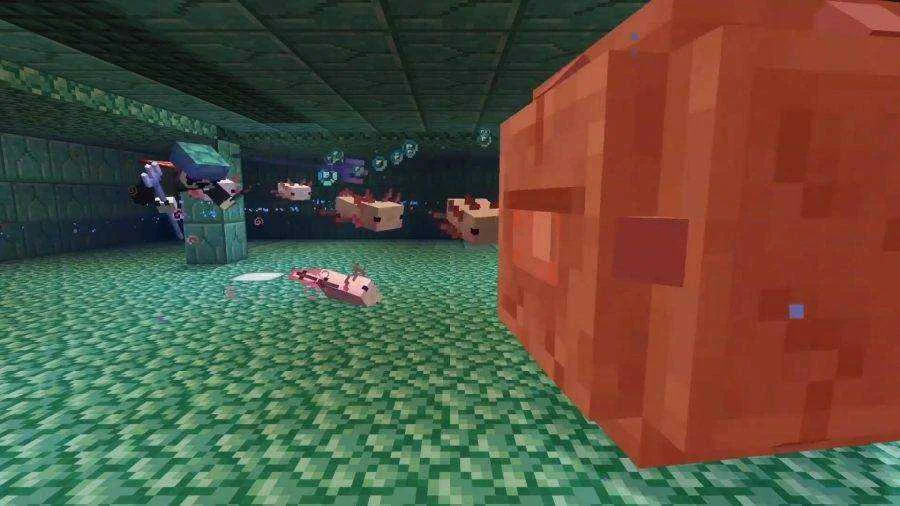 minecraft-caves-and-cliffs-axolotls-900x506.webp