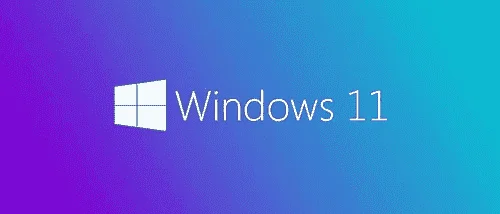 659e6fc67be9.webp