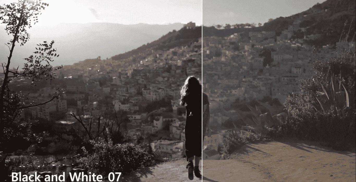 ink-Director-Suite-365-Content-Packs-Free-Download.webp