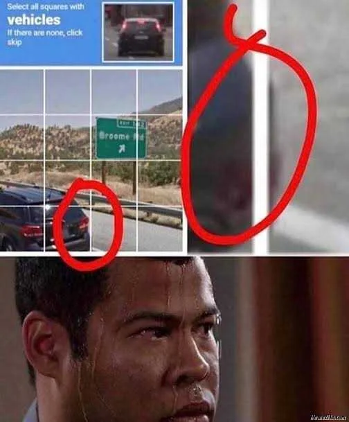 images (11).jpeg