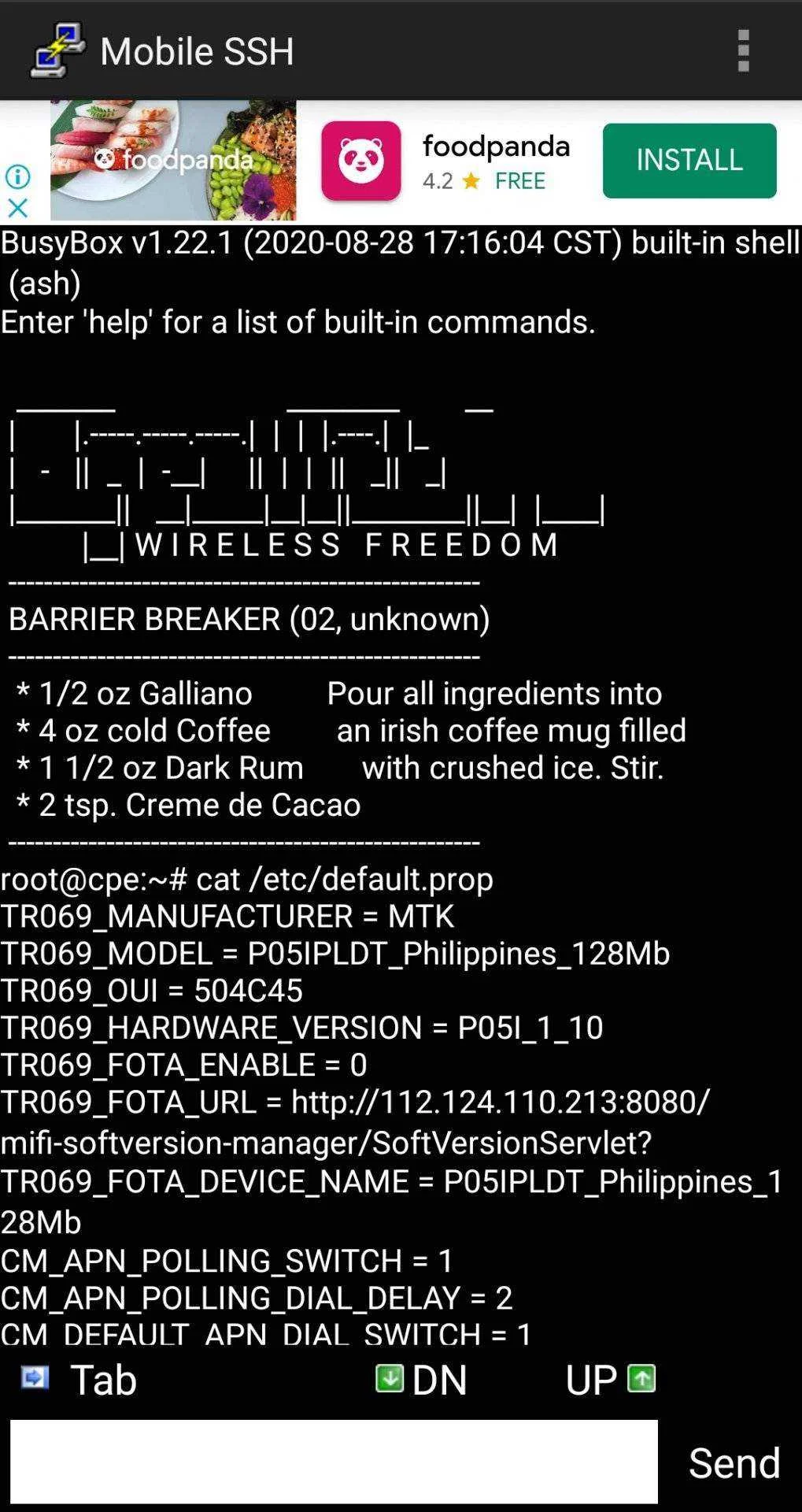 Screenshot_20211014-142100_Mobile SSH.webp
