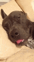 200.gif