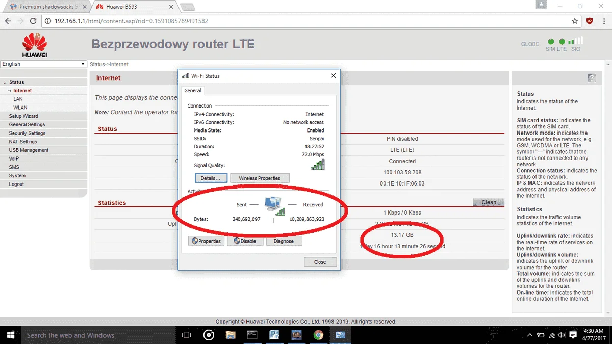 usage ss.webp