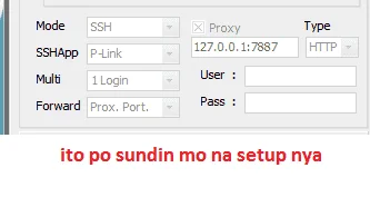 svl_setup.webp