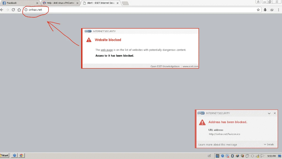 Capture.webp