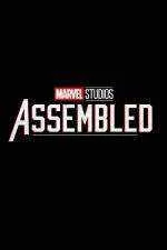 Marvel Studios: Assembled (2021) (S01 E01-E05) 720p [MEGA]