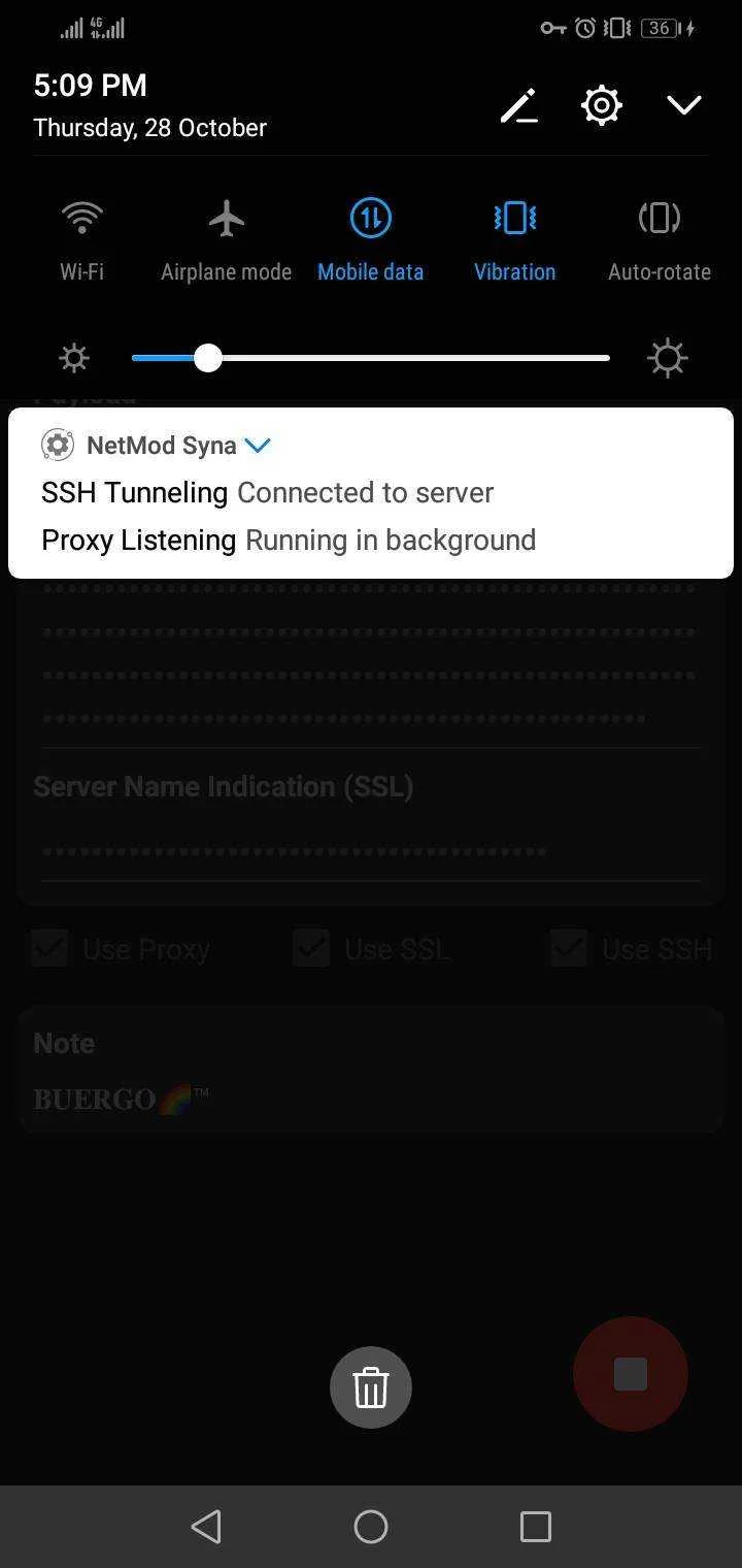 Screenshot_20211028-170904.webp