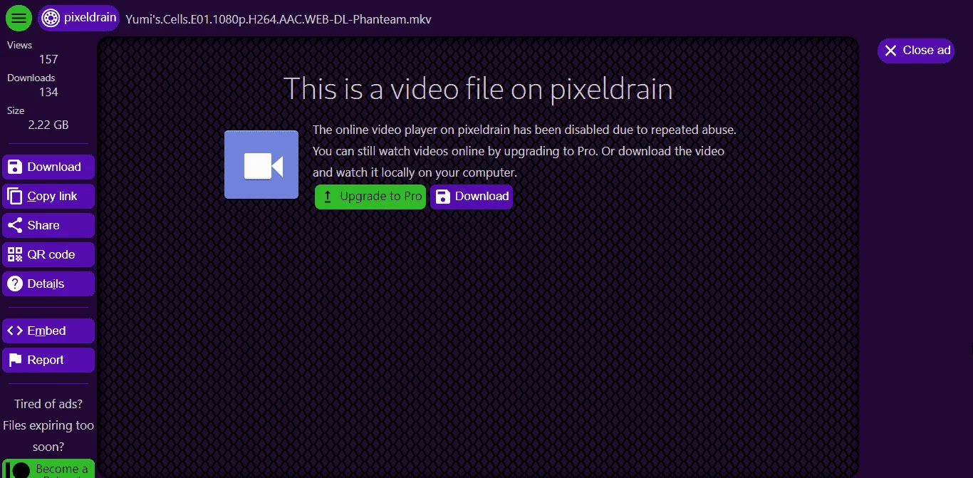 1635471307564.webp