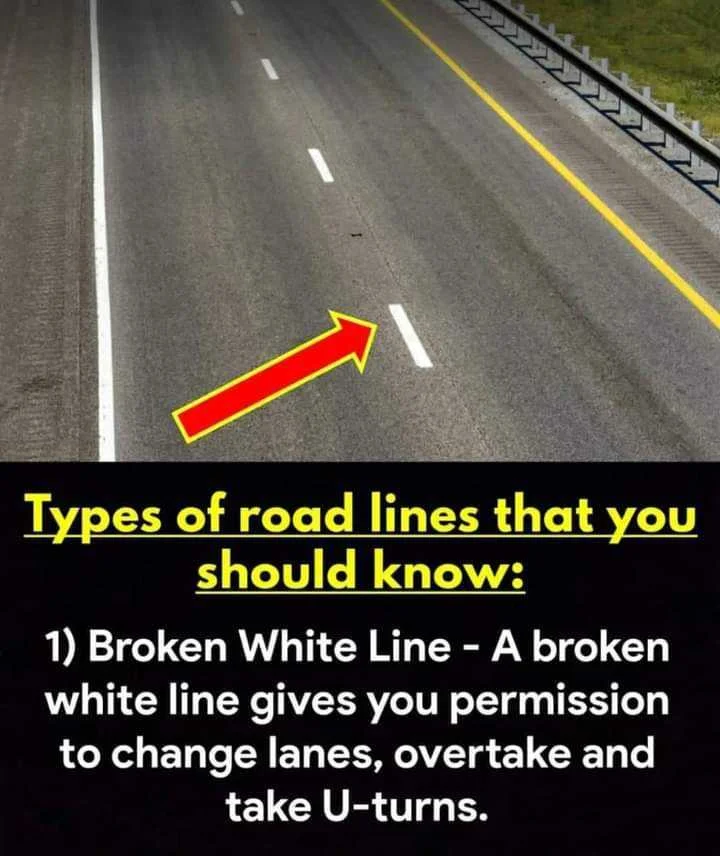 FB_IMG_1634647011412.webp