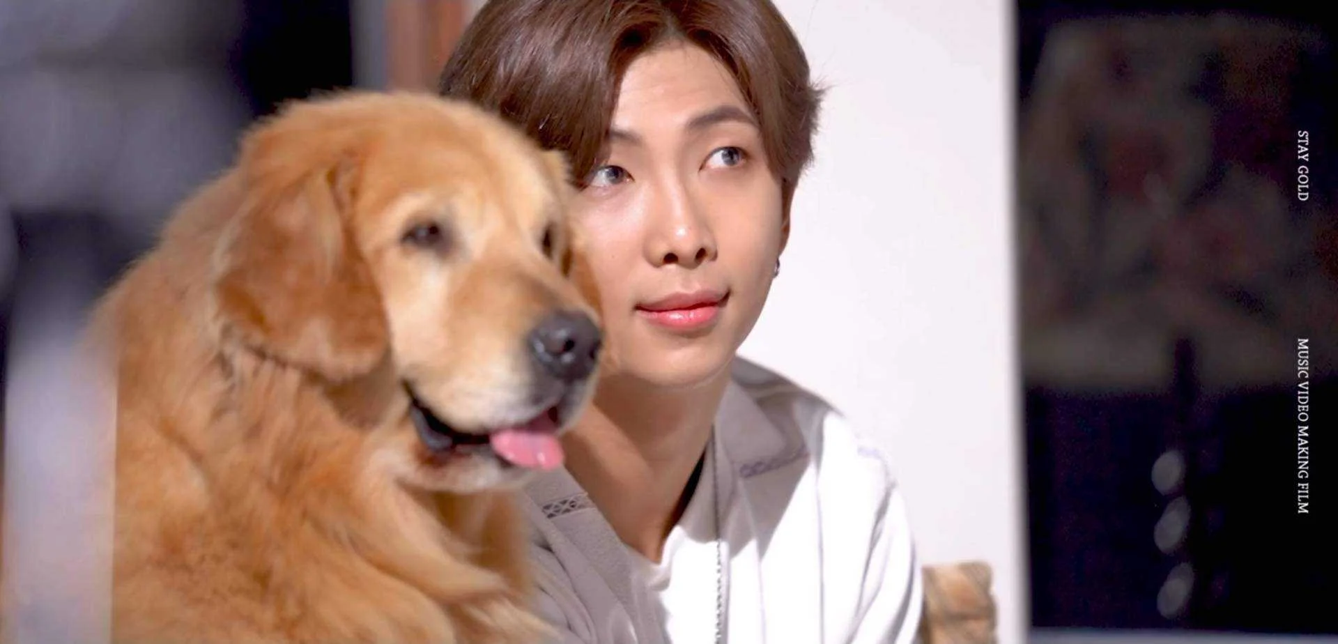 Bts The Best (2021)-12.mkv_20211030_101539.187.webp