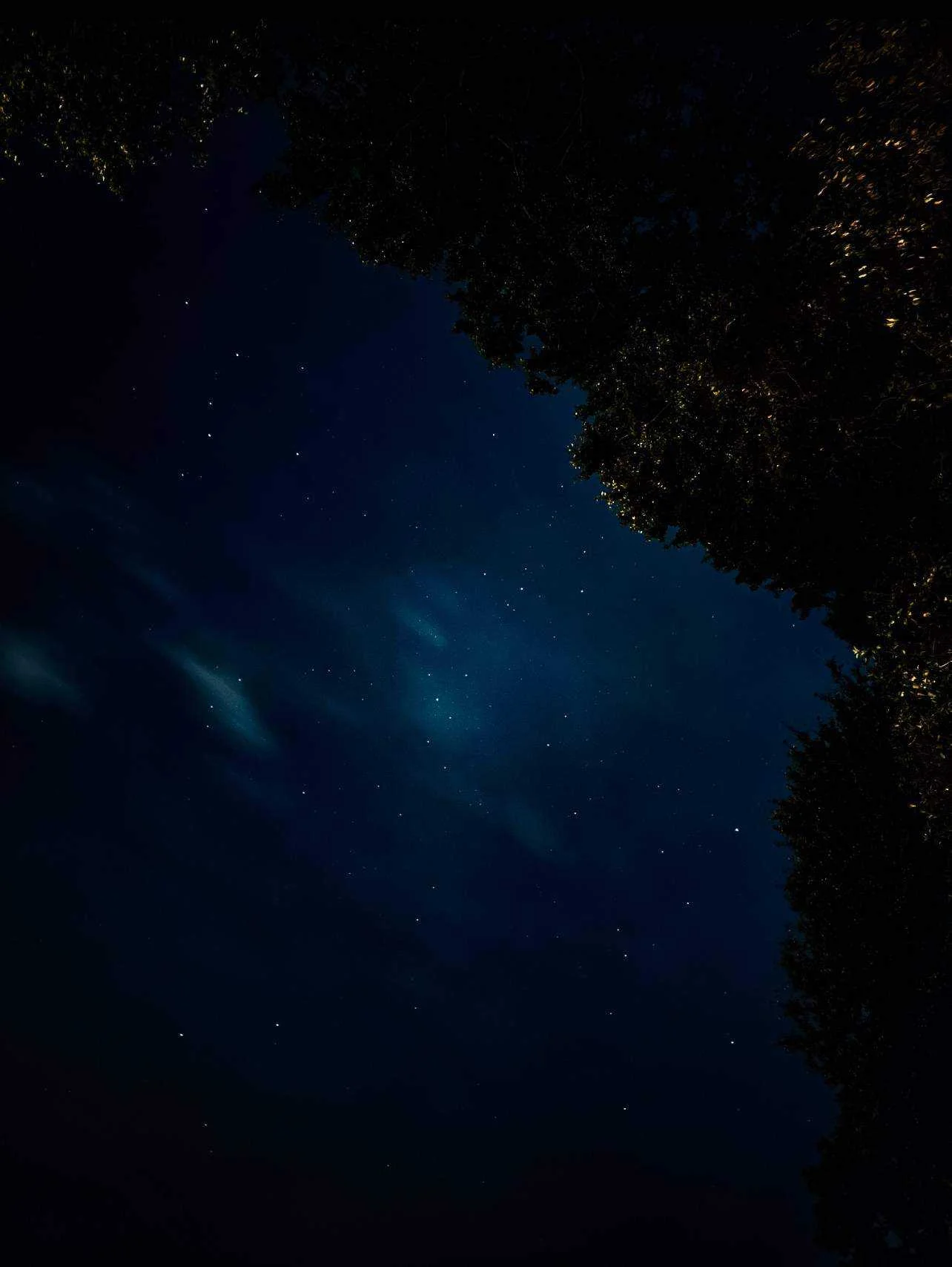 DA25FFEF-E795-422D-BAF4-16DD7DDF6528.jpeg