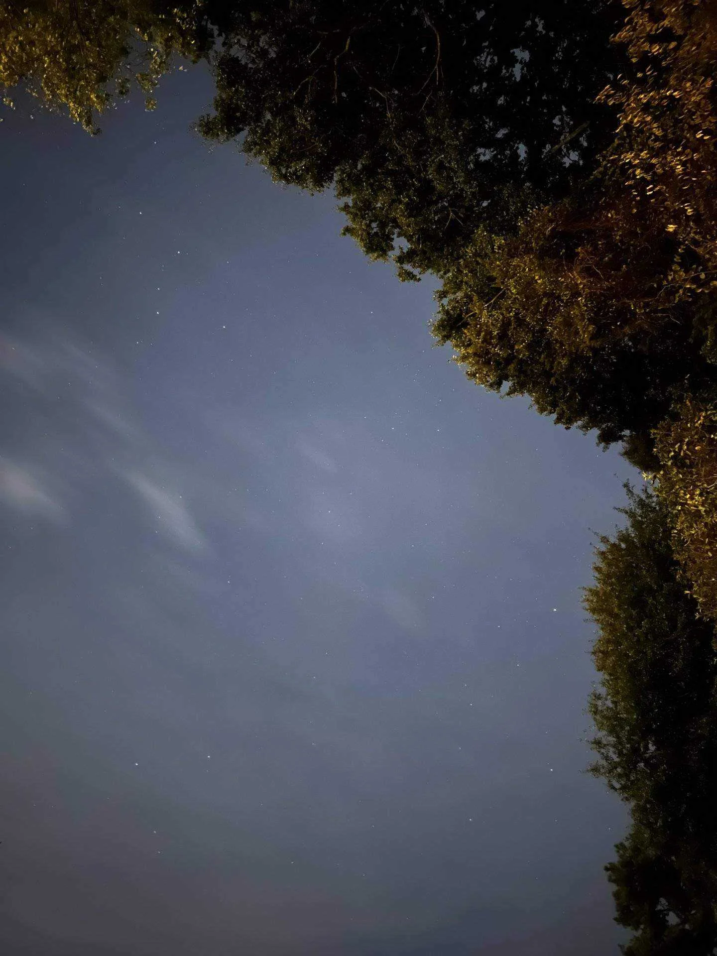 3F18AD2E-7CC5-4776-9B4B-6FFDF91816E3.jpeg