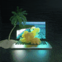 200.gif