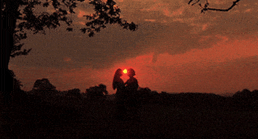 200.gif