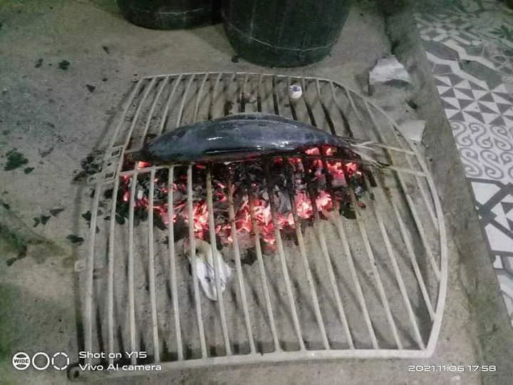 FB_IMG_16362146797137369.webp