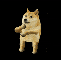 200.gif