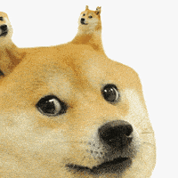 200.gif