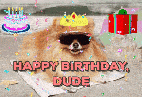 200.gif