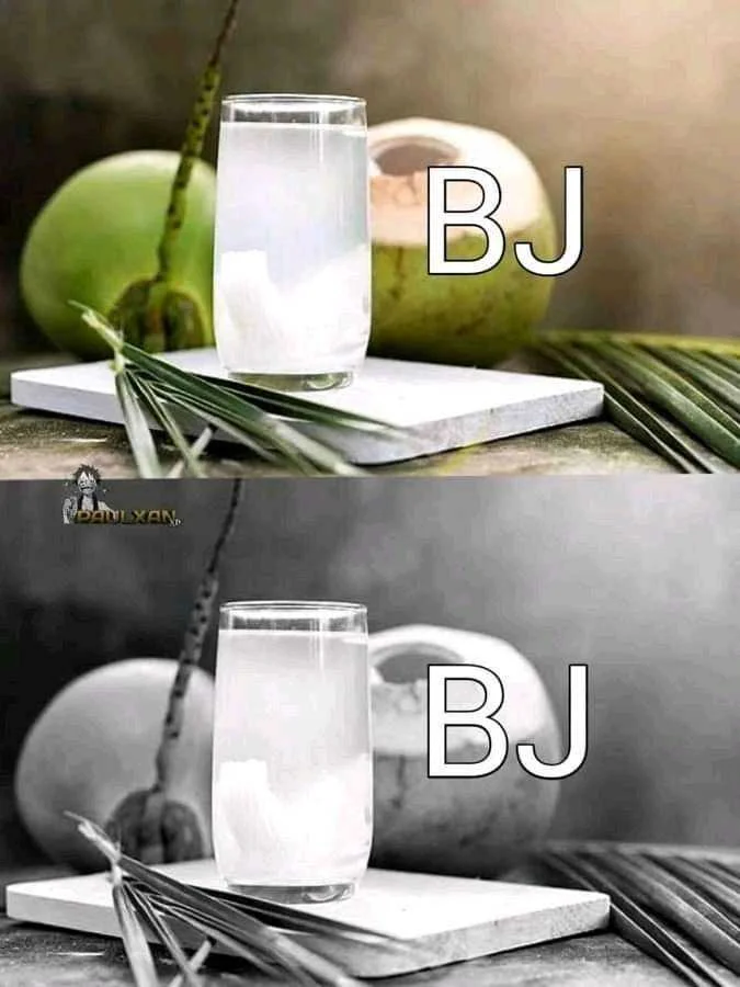 FB_IMG_16364404928266498.webp