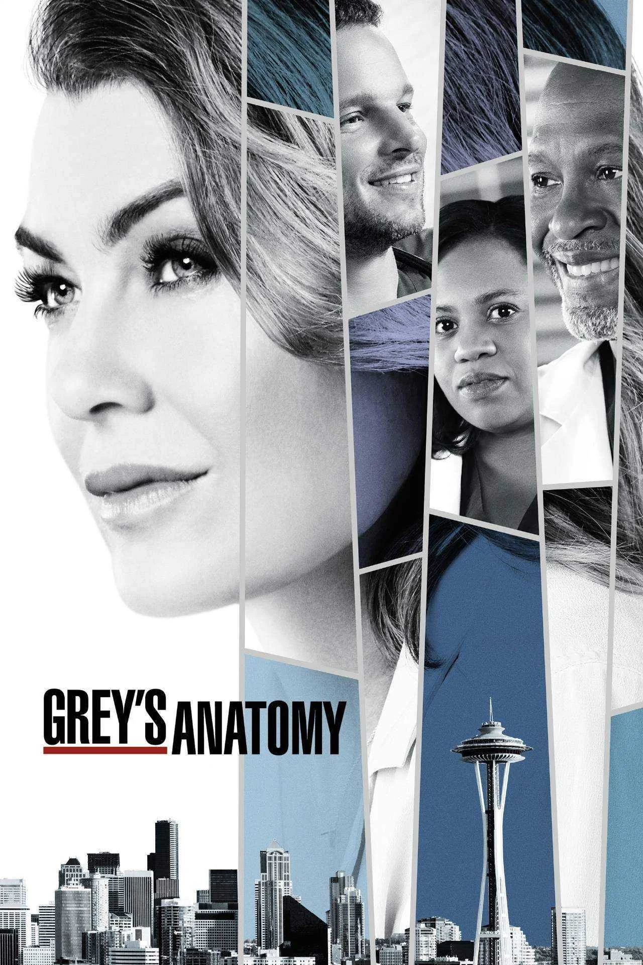 Grey's Anatomy (2005-Present) | Season 1-17 | 1080p WEBDL