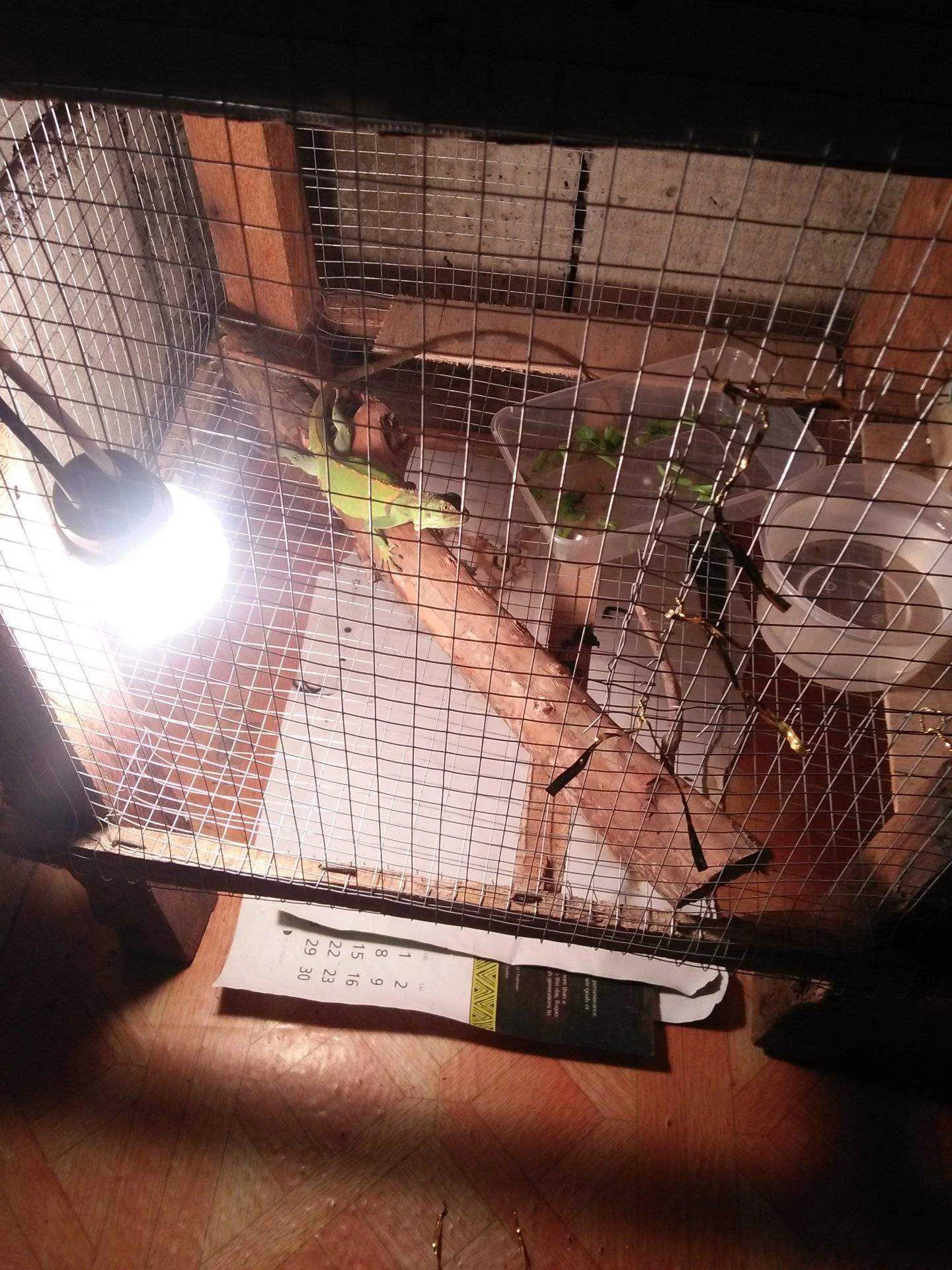 IMG20211110063827.webp