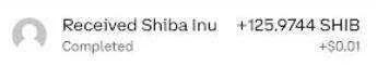 shiba.webp