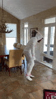 200.gif