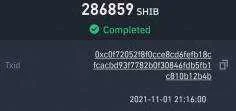 shib.webp