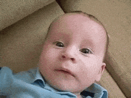 200.gif
