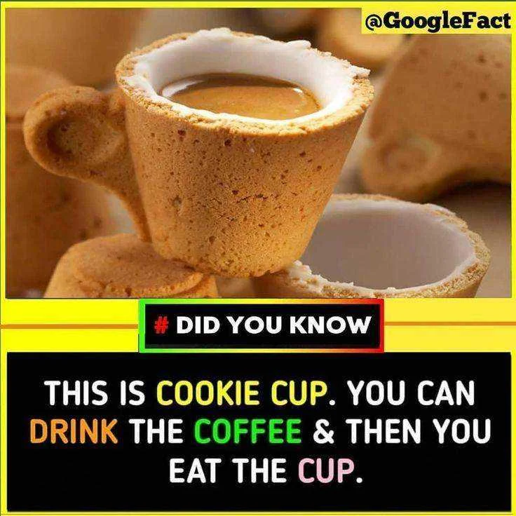 0d2e937a204a599012a8c00fe5f2649c.webp