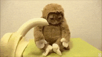 200.gif
