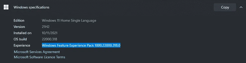 1637183482912.webp