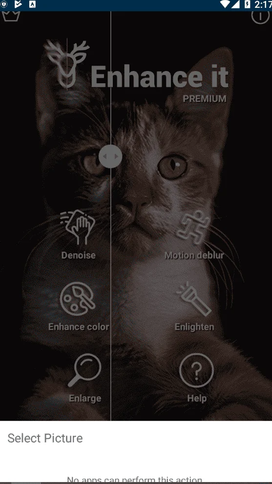 1637259479318.webp