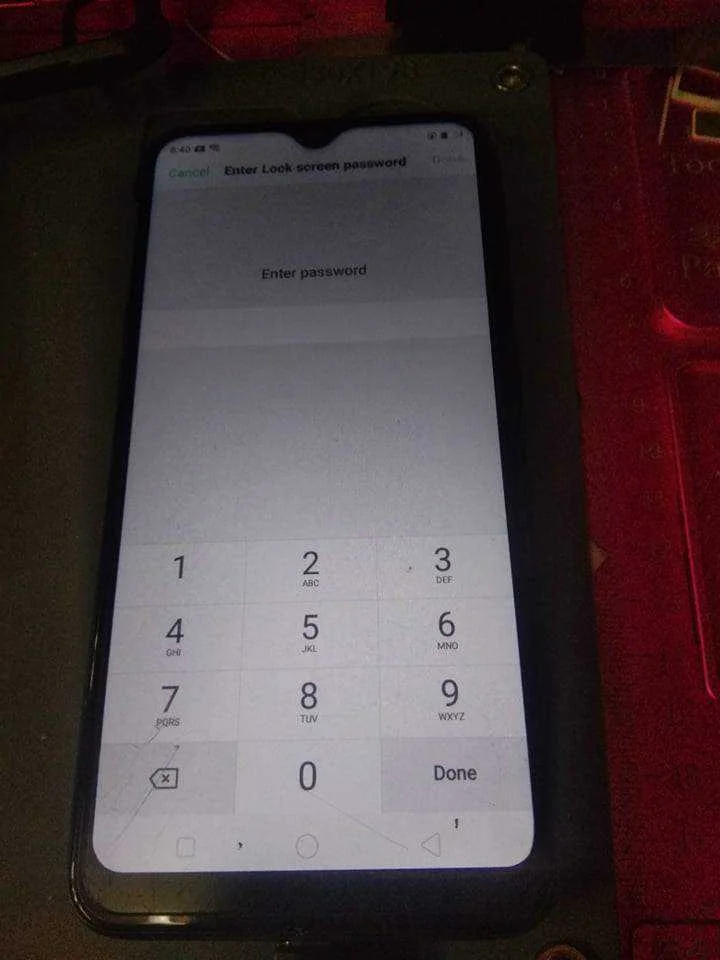 257774830_1066110454208528_7037166845637751327_n.webp