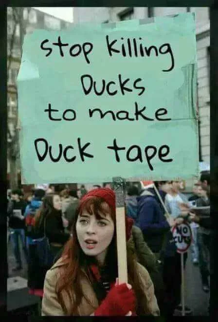 ducks.webp