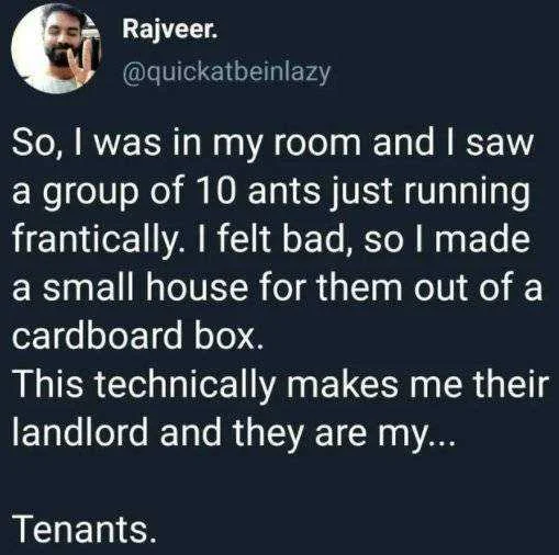 ten ants.webp