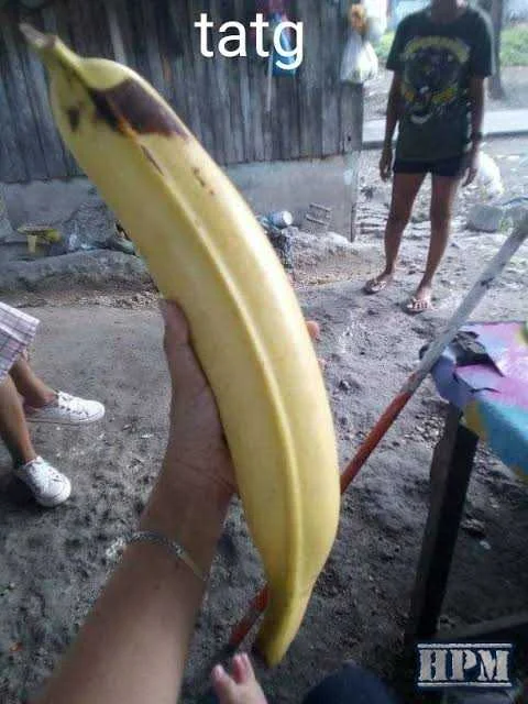 images (4).webp