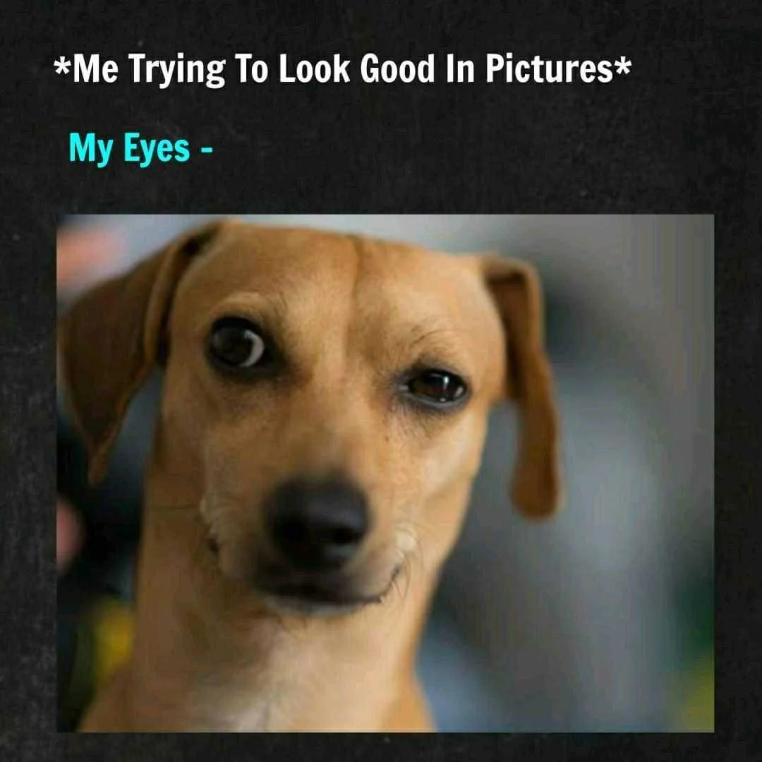 1638152639627.webp