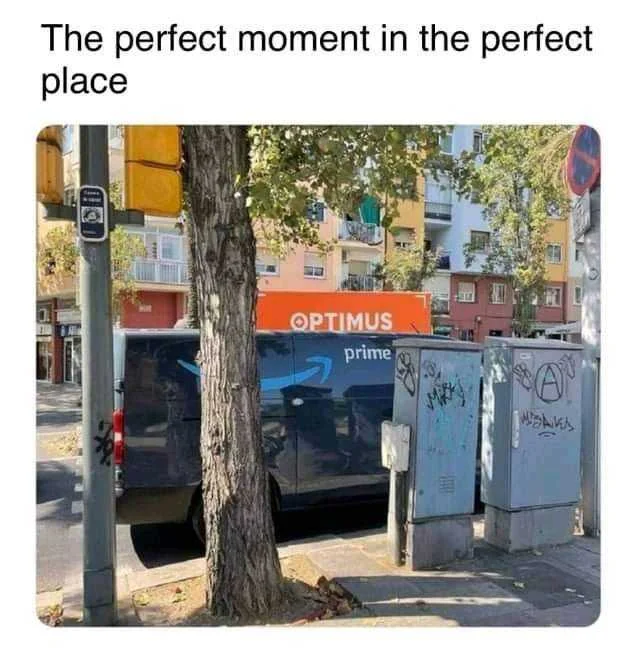 1638285934951.webp