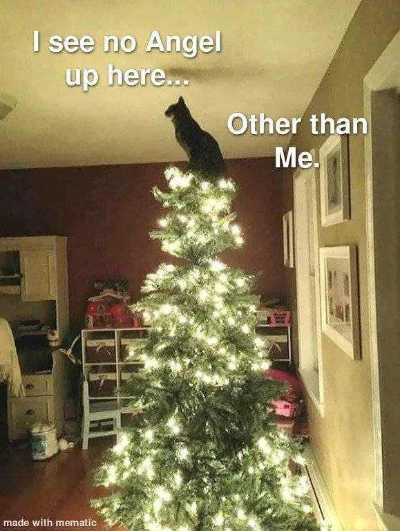 tree.webp