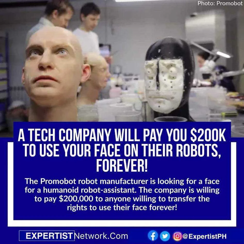 262082355_918774365482281_1006012036828333357_n.webp