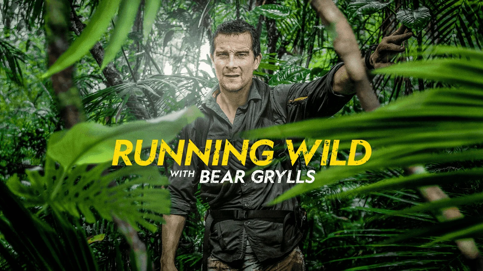 Running Wild with Bear Grylls 2014 S01-S06 1080p AMZN WEB-DL DD+5.1 H.264