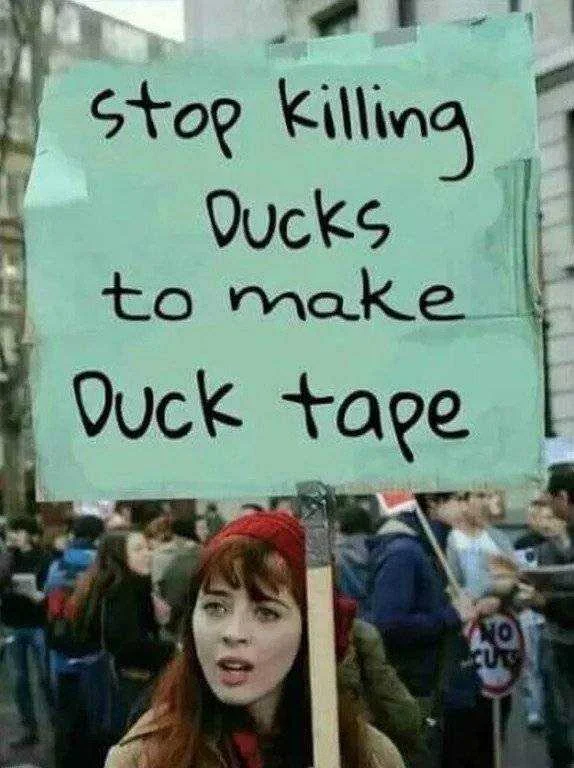 duck.jpg