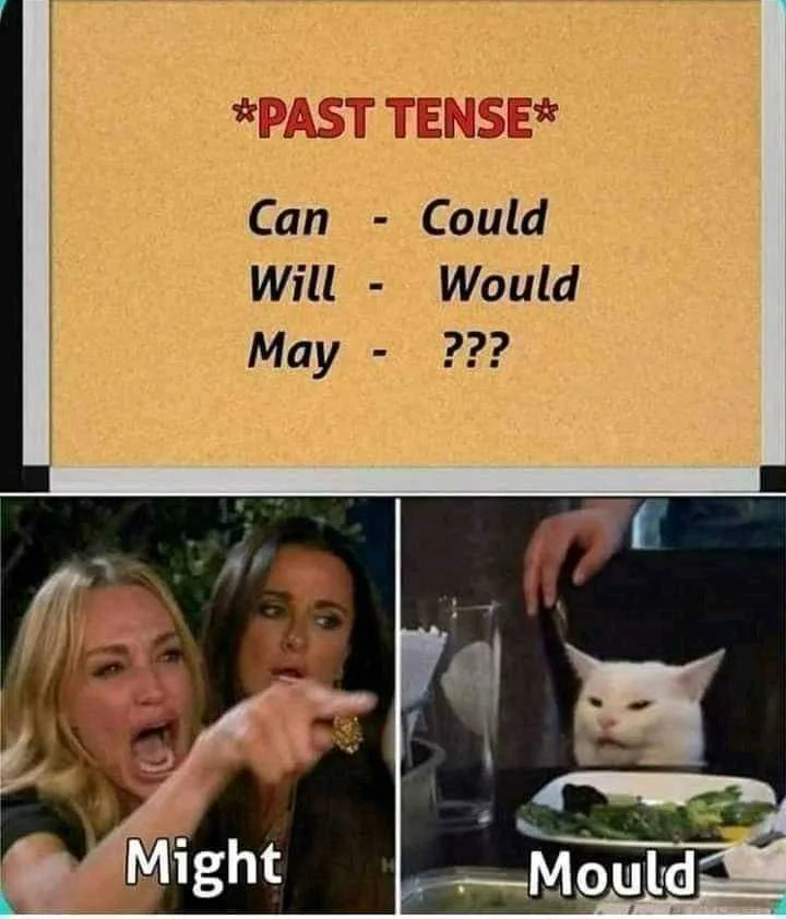 1639087062728.jpg