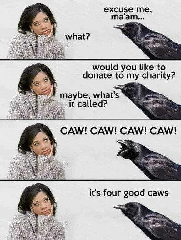 caws.jpg