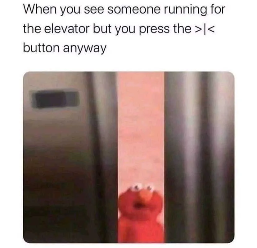 1639229251260.jpg