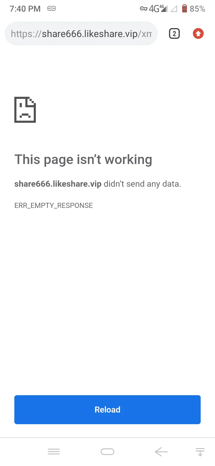 Screenshot_20211221-194011.webp